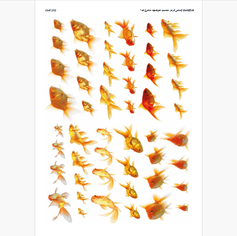 طلق ترنسپرنت (ماهی قرمز مناسب حوضچه ماهی) کد 152
